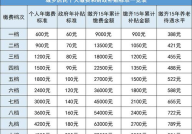 2024年养老保险,保障未来生活新篇章