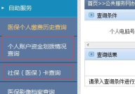 社保卡号查询个人账户,个人账户信息一目了然